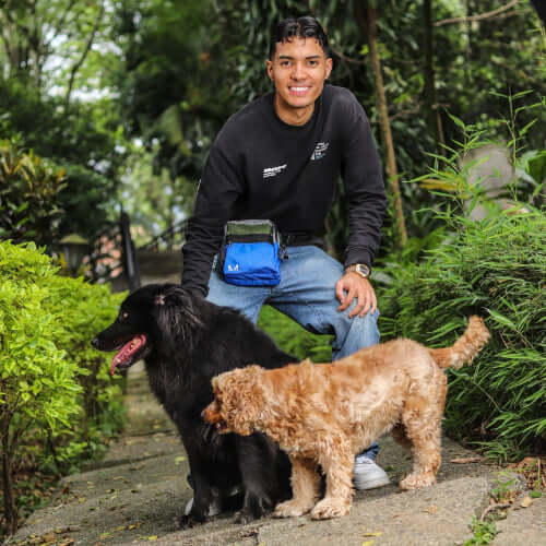 Man wearing a royal blue and green crossbody dog training bag two dogs outdoors in a garden setting