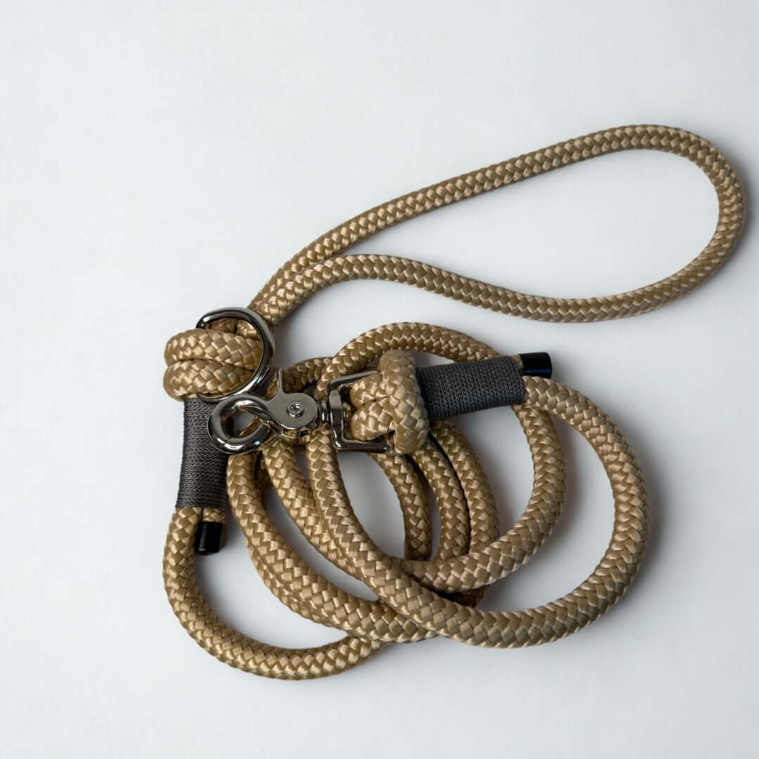 Beige braided dog leash with gray accents and metal clip on a white background