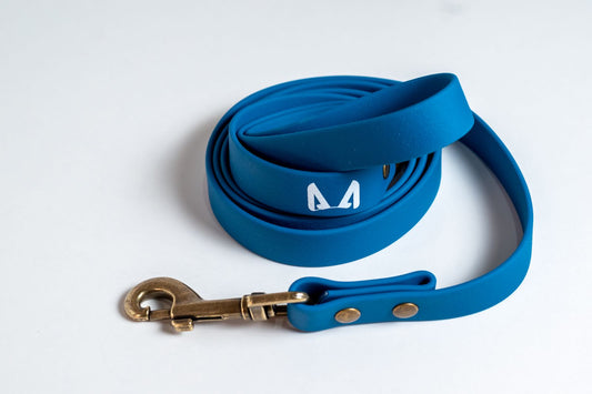 Biothane Dog Leash – Strong, Waterproof, Adventure-Ready Leash