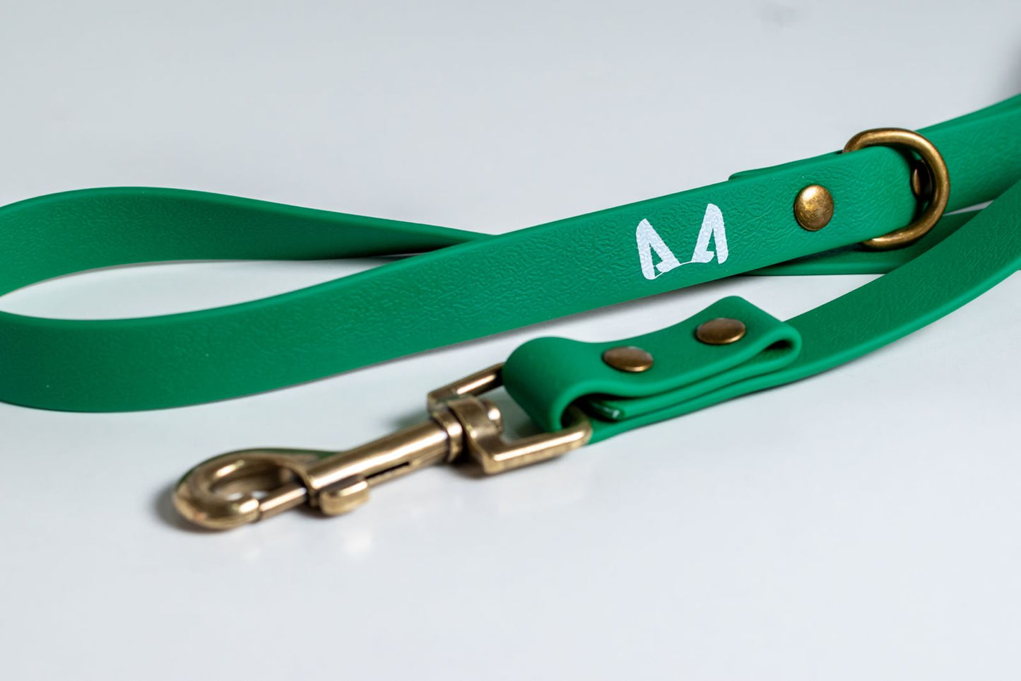 Biothane Dog Leash – Strong, Waterproof, Adventure-Ready Leash
