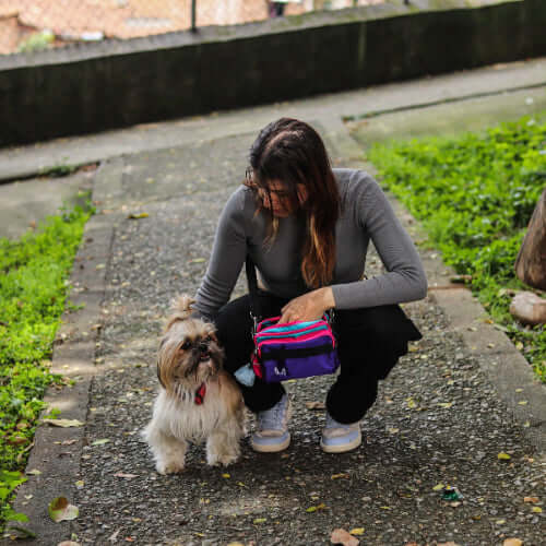 Woman with a small dog on a leash, holding a colorful fanny pack on a sidewalk.