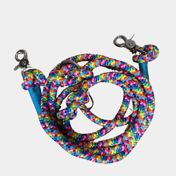 Colorful braided dog leash with metal clasp on a white background