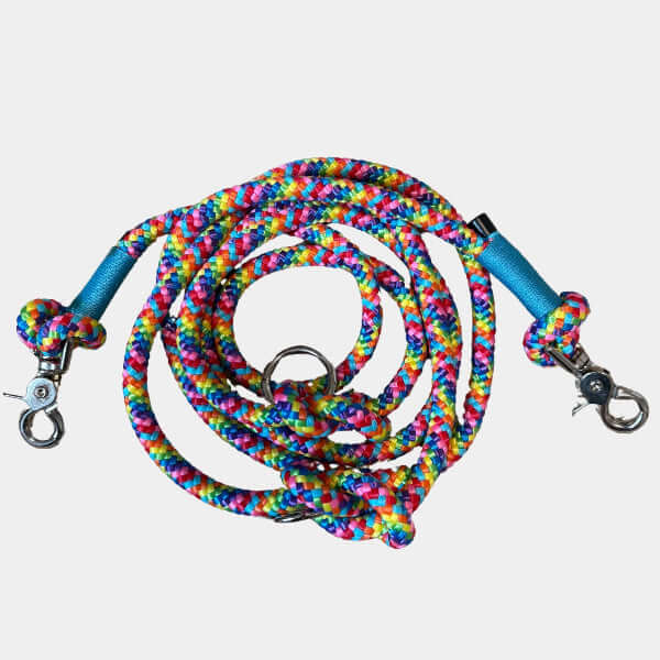 Colorful braided dog leash with blue handles on a light gray background