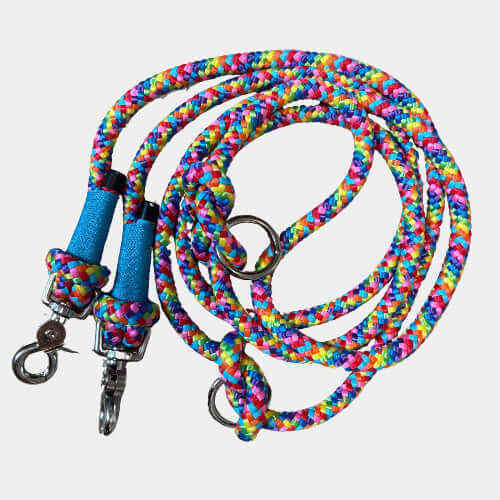 Colorful braided dog leash with blue handle on a light gray background
