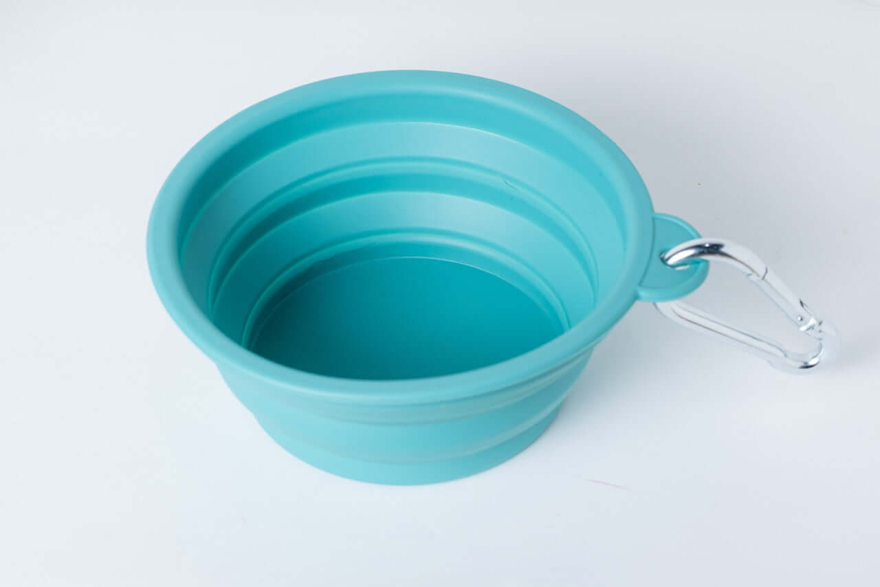 Collapsible teal dog bowl with a carrying handle on a white background