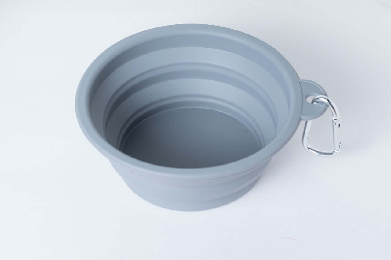 Collapsible gray dog bowl with a carabiner on a white background