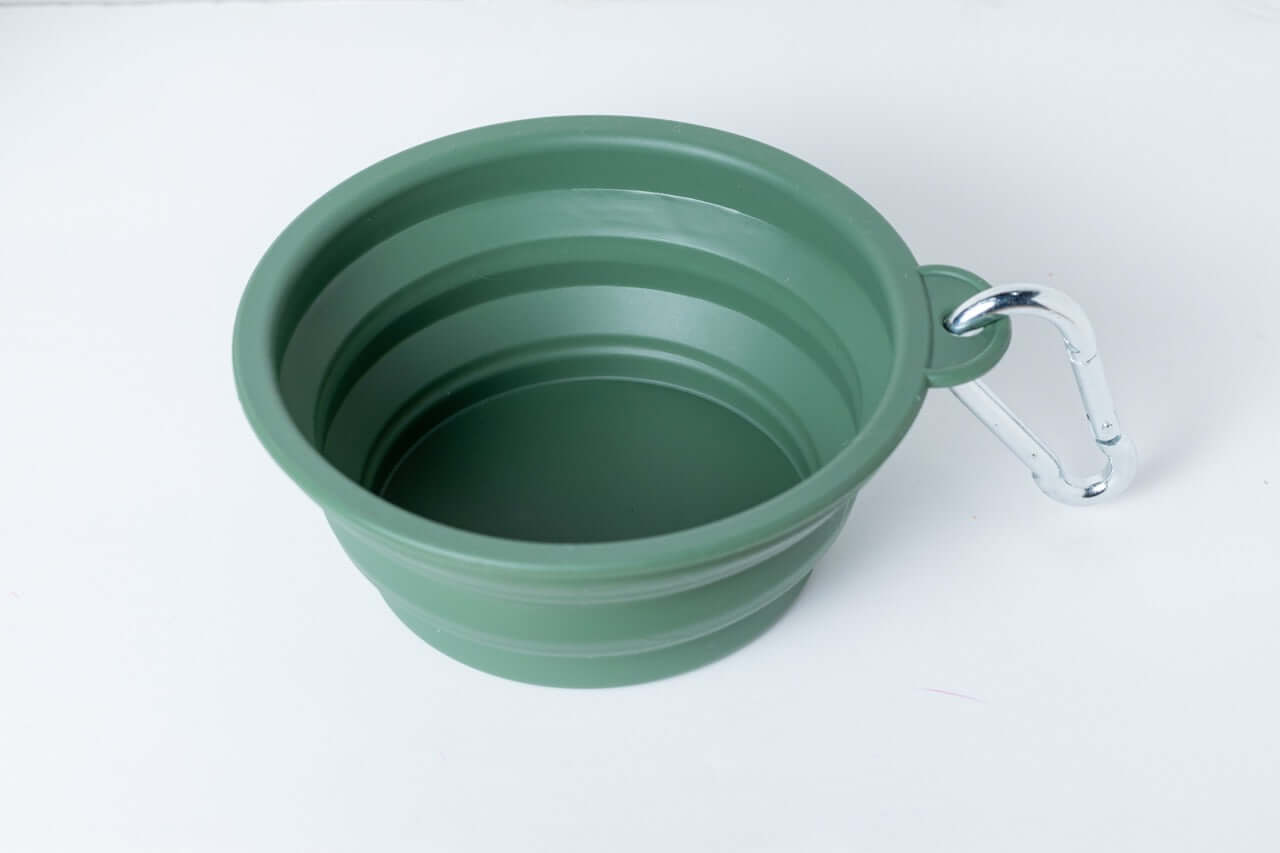 Green collapsible travel bowl with handle on a white background