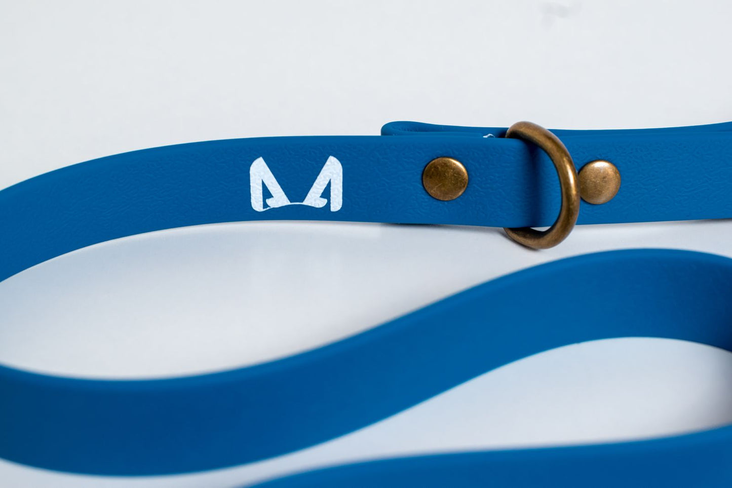 Biothane Dog Leash – Strong, Waterproof, Adventure-Ready Leash