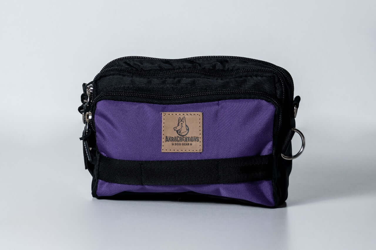 Fanny pack