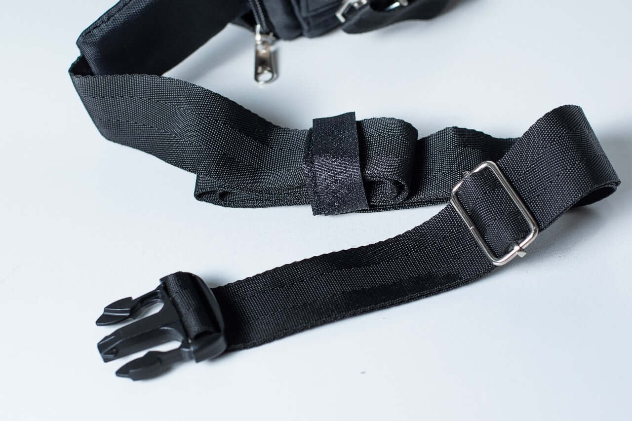 Fanny pack