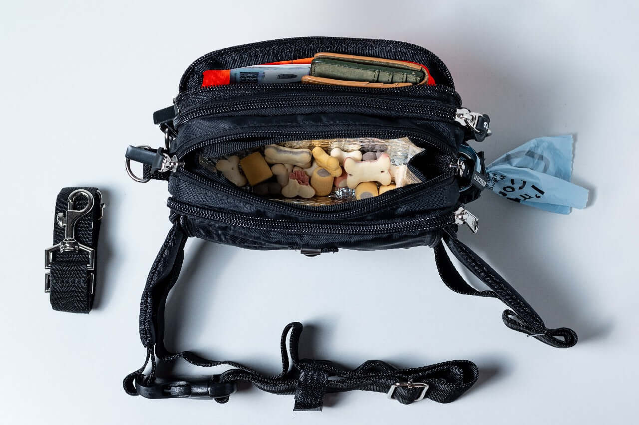 Fanny pack