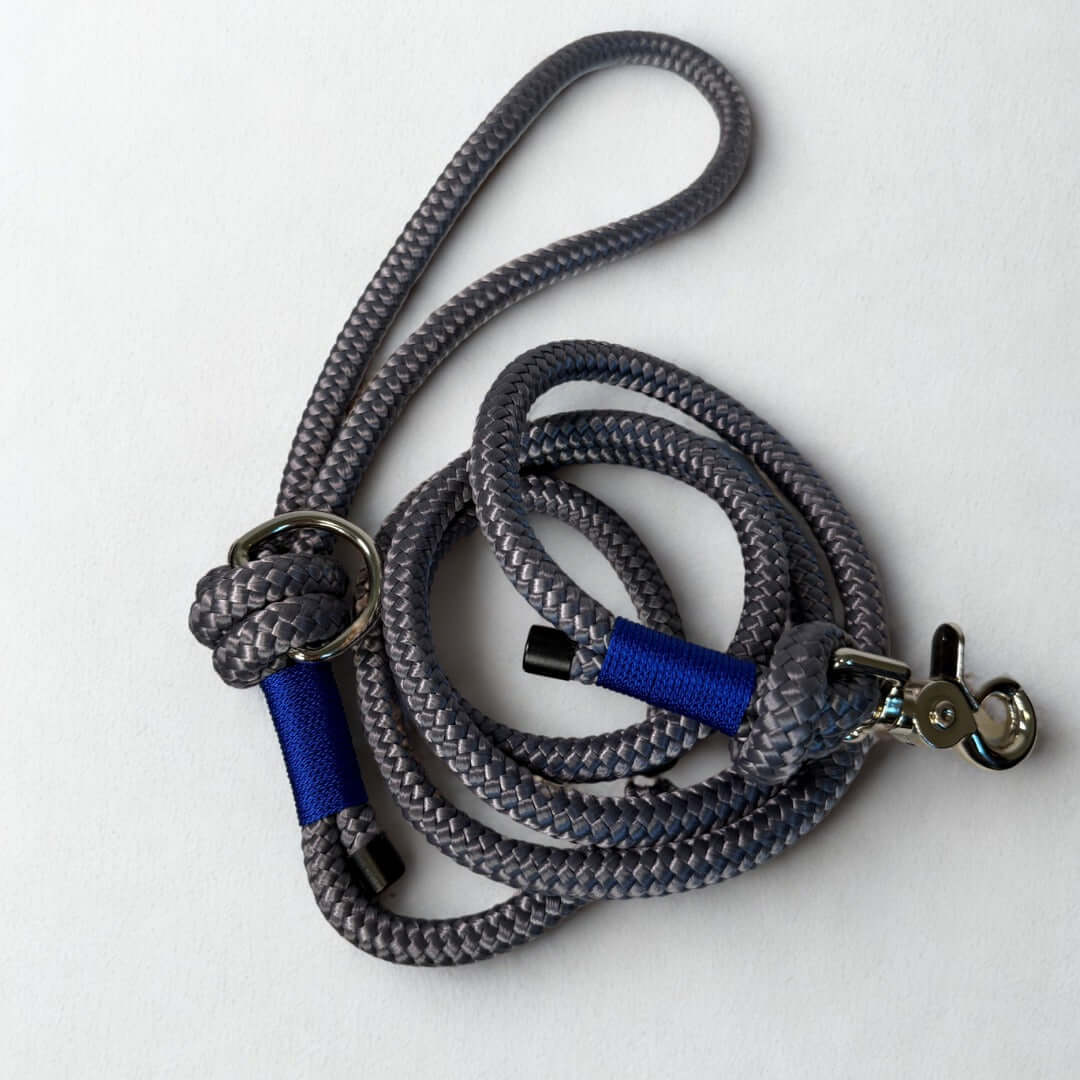 Gray rope dog leash with blue accents on a white background