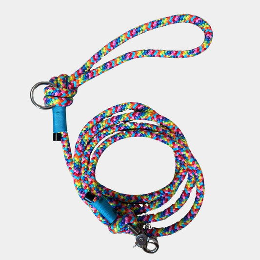 Colorful dog leash with blue handle on a white background
