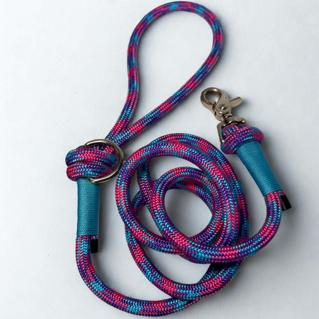 Colorful braided purple and pink dog leash with blue accents and metal clip on a white background