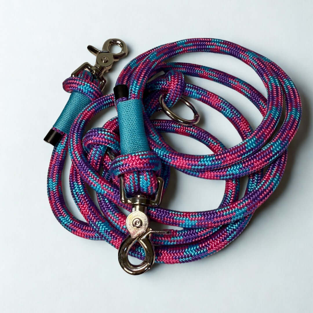 Multicolored braided dog leash with blue accents and metal clips on a white background