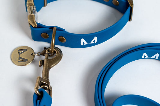 Biothane Dog Leash – Strong, Waterproof, Adventure-Ready Leash