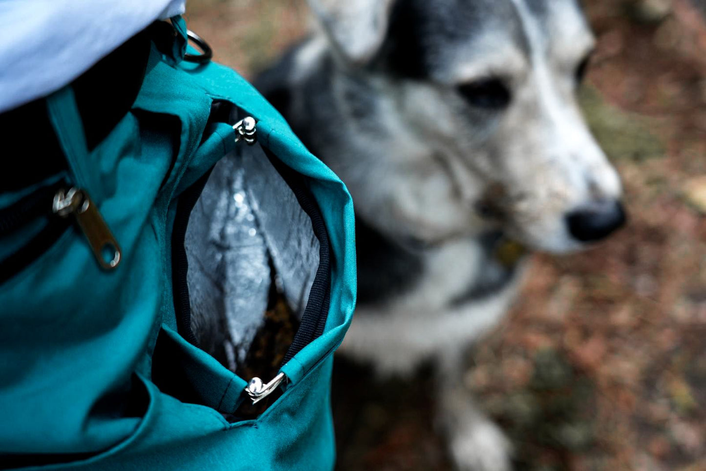 Dog Training Apron