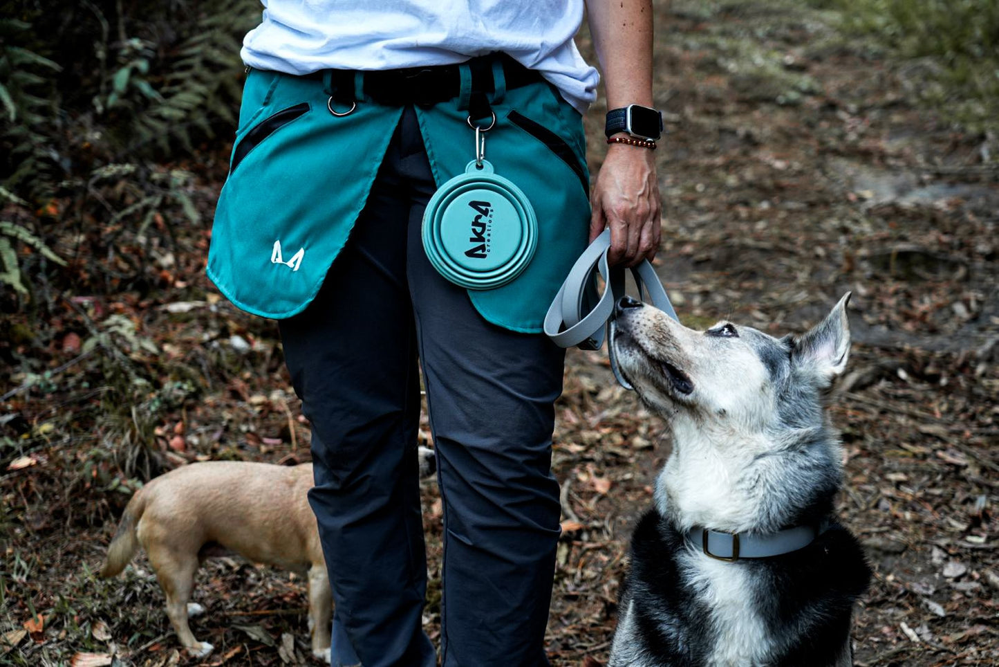 Dog Training Apron