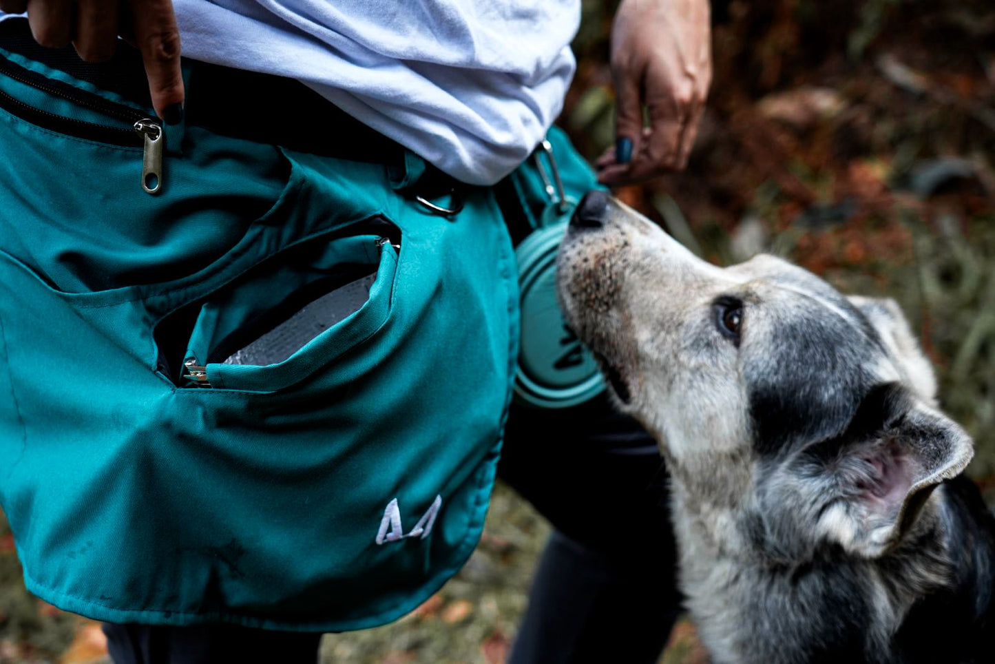 Dog Training Apron