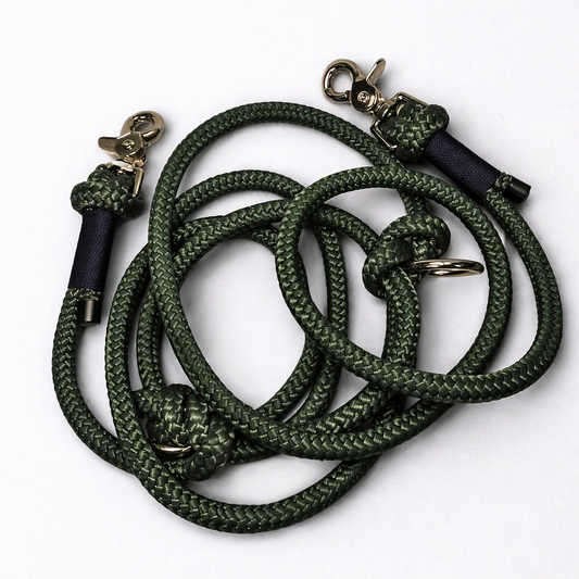 Adventure Dog Leash – Regular & Hands-Free Options