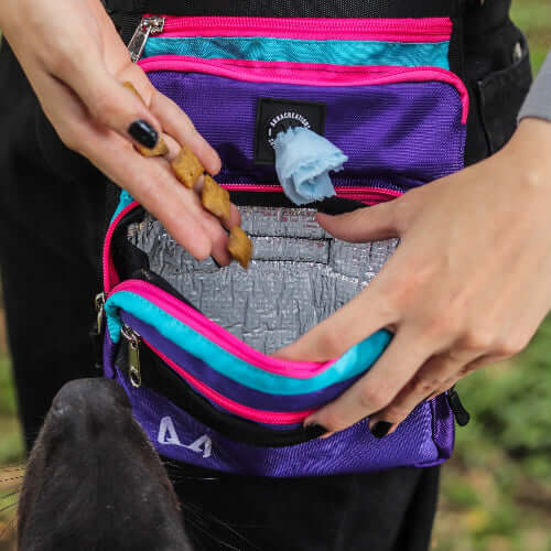 Slim Fit Dog Thigh Bag Purple and Pink showcasing the insulated sleeve for treats