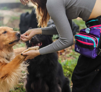 Slim fit dog thigh bag used in a training session with two dogs