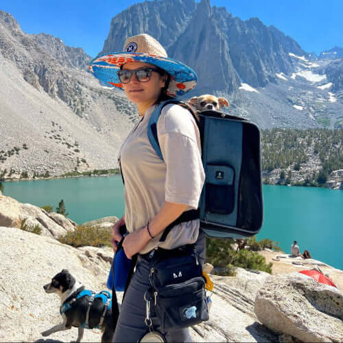Person wearing the thigh dog treat bag with a backpack and two dogs in a mountainous landscape with a lake.