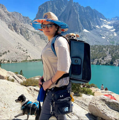 Person wearing the thigh dog treat bag with a backpack and two dogs in a mountainous landscape with a lake.