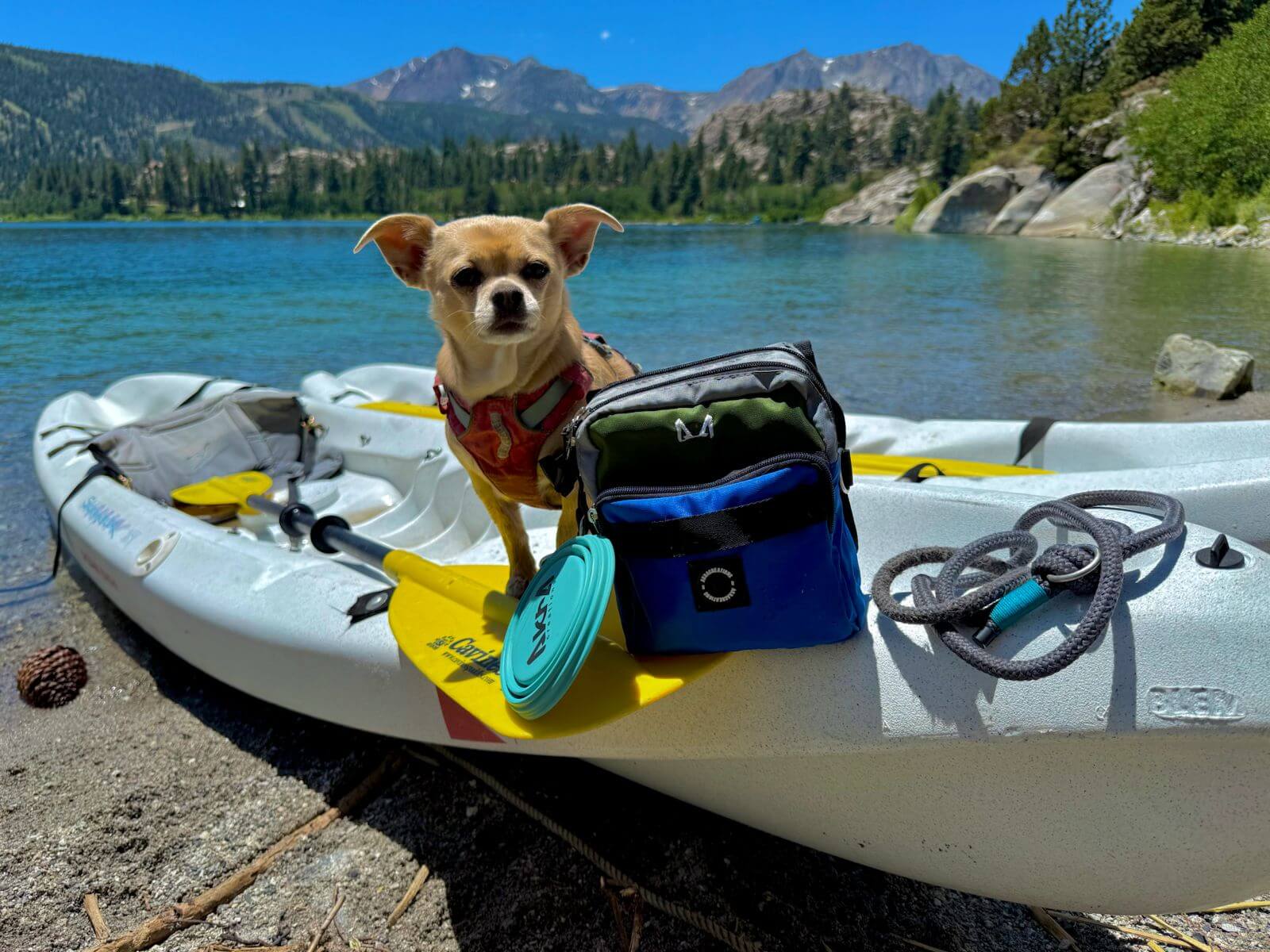 Dog standing on a kayak by the thigh dog treat bag on a lake with mountains in the background