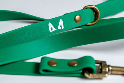 Biothane Dog Leash – Strong, Waterproof, Adventure-Ready Leash