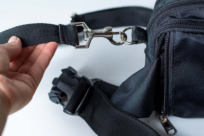 Fanny pack