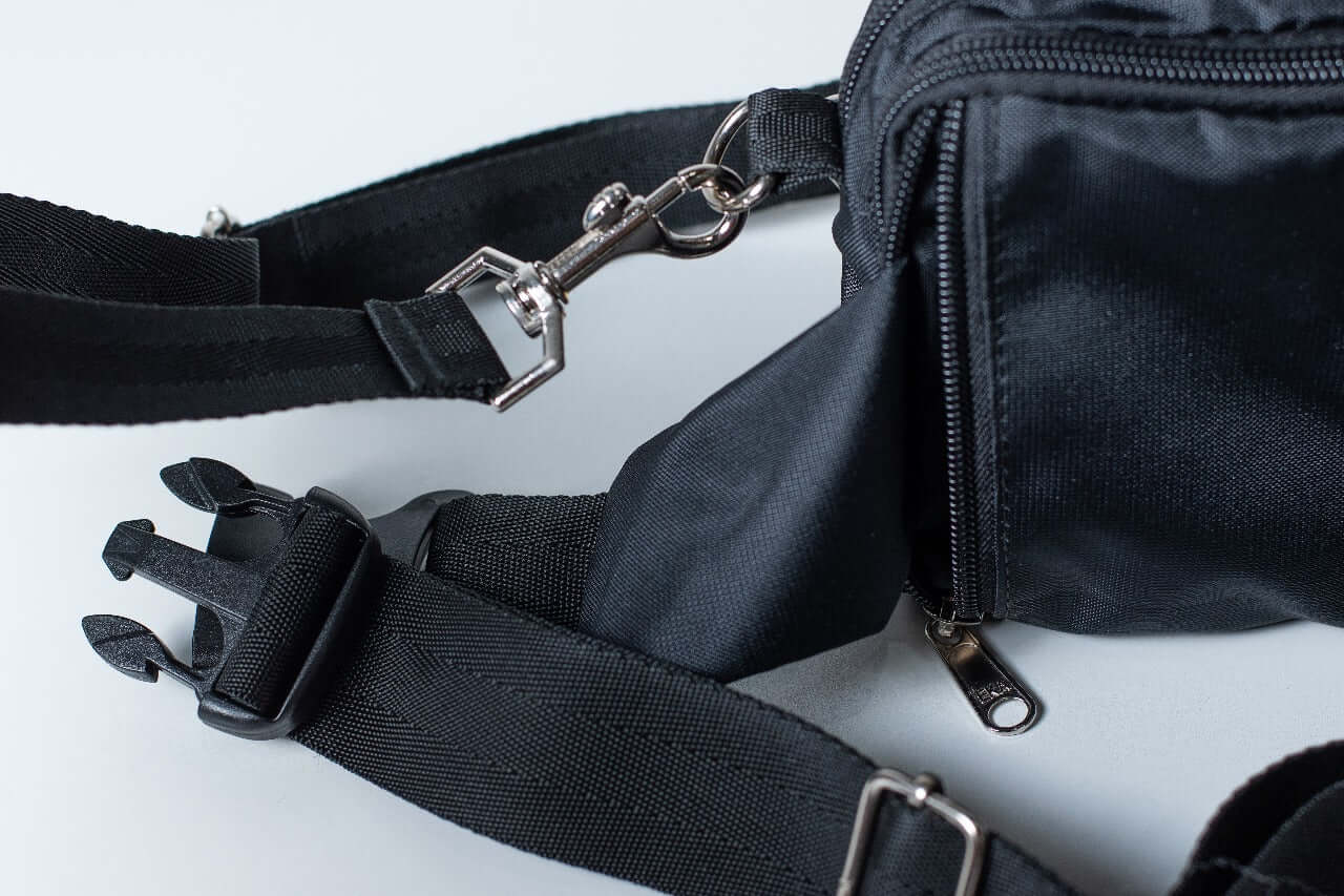 Fanny pack
