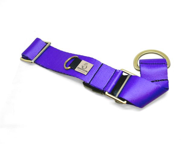 Martingale collar purple