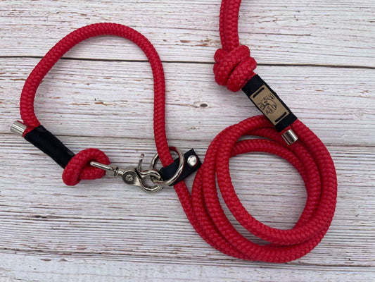 Slip lead/ regular leash red