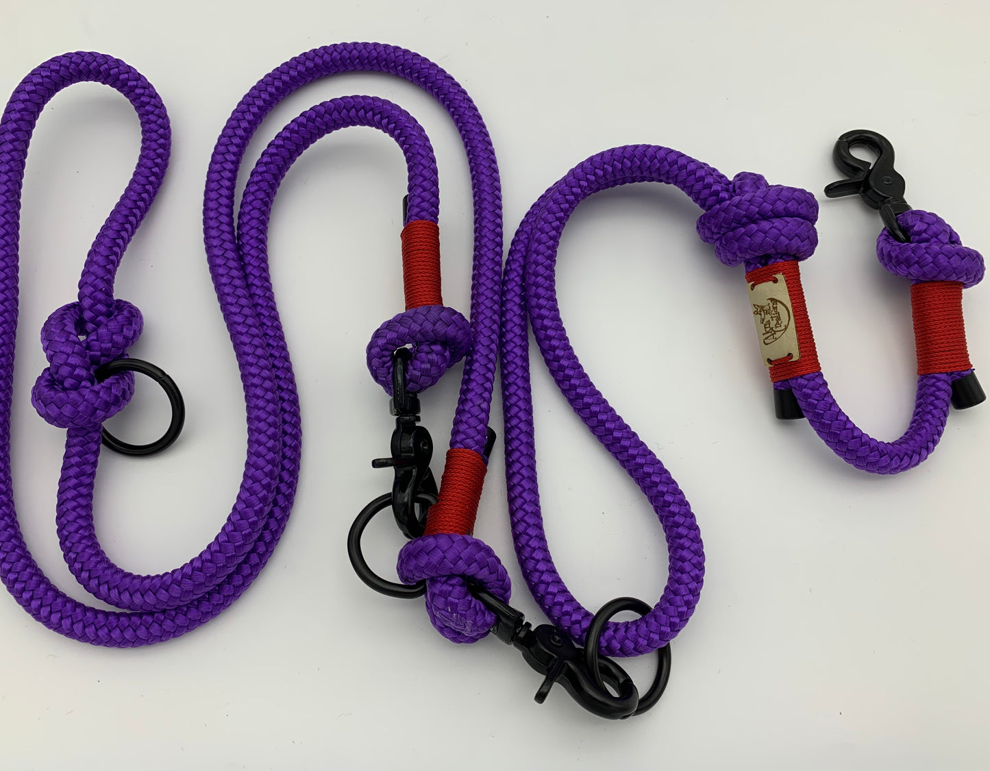Convertible handsfree leash purple